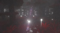 Forest ( WIP)