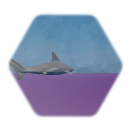 Remix of Sandbar Shark