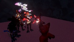 All fox's see's another fox