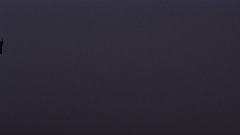 Made by my lil brother