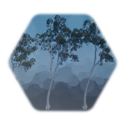 Eucalyptus Tree