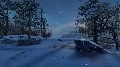 Scenes 20