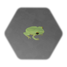 Tree Frog