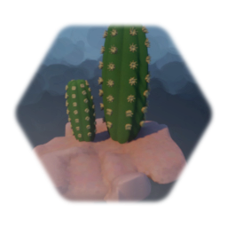 Cactus