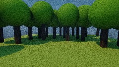 Noob survived the backrooms