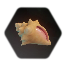 Conch