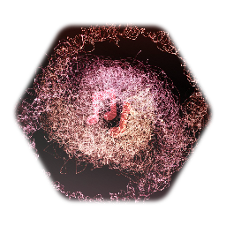 trasition to happiness