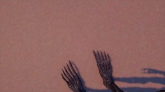 Siren head but noise