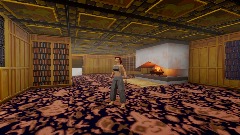 Remix of Lara Croft mansion TR1 (library) no windows