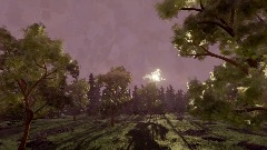 Forrest wonder (open world!)