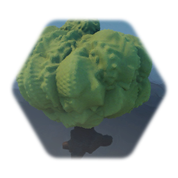 Cool-ish looking tree