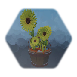 Bucket of sunflowers