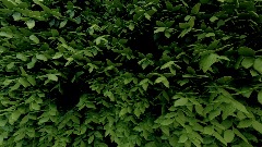 A screenshot taken in Dreams. 2 of 3.