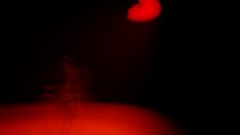 A screenshot taken in Dreams. 9 of 15.