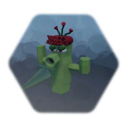 Cactus