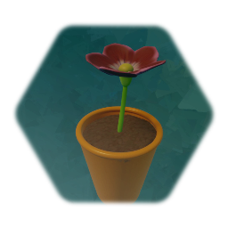 Flower in Pot