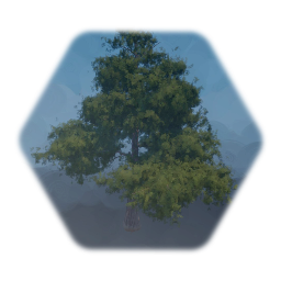 My favorite natural elements from the community🌳