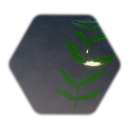 Leafy Branch