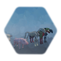 Animals