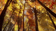 A screenshot taken in Dreams. 5 of 6.