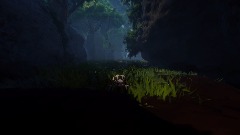 Level 2 Kumoko finds Hope