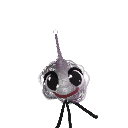 tehunfunny