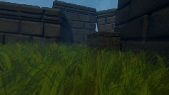 Froggys Sonic World 01