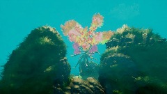 Immortal Trees (WIP)