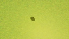 Remix of Spiffy pictures logo (ANIMATED)