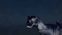 What the?!