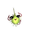 JelloDroppYT