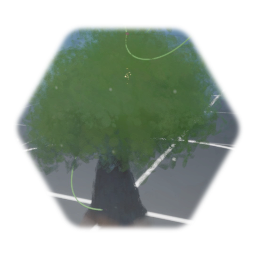 Shrub 1