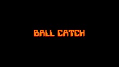 BALL CATCH