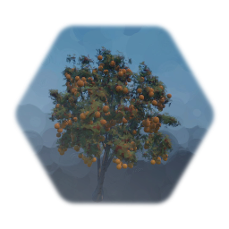 Orange Tree