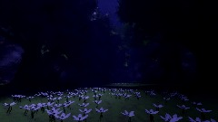 <uipreview> REGULAR FOREST 1C