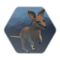 <uipossessvizbody> Dreams guild - Kangaroo