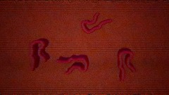 A screenshot taken in Dreams. 17 of 25.