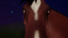 Dude, Let's kill the horse. (ANIMATION)