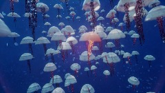 Wonders of the blue marble: Part 1