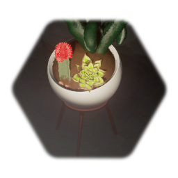 Succulent terrarium