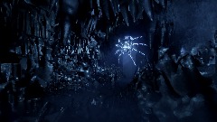 Spider Cave
