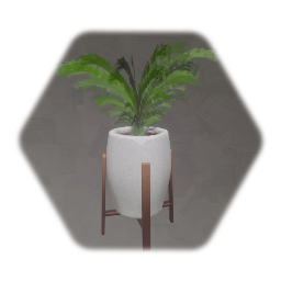 Pot Plant