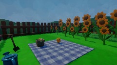 Sunflower Garden