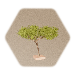 Optimized tree