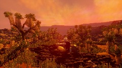 Joshua Tree, with Lucy