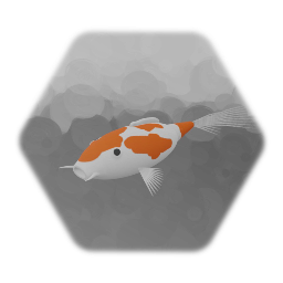 Koi Fish