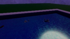 Afton pool party