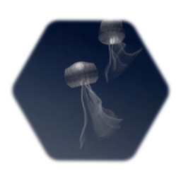 海月　Jelly Fish