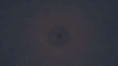 A screenshot taken in Dreams. 12 of 12.