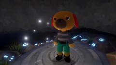 The adventure of the bald dog